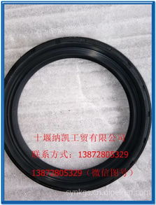 【東風(fēng)大力神輪邊減速輸入端油封適用東風(fēng)大力神東風(fēng)天龍 ,100*130*13/19價(jià)格,圖片,配件廠家】