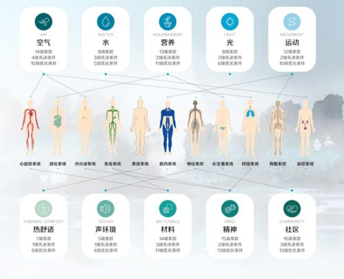 河南省2020年度產品力入圍品質項目展示（三） 旅游開發項目策劃咨詢