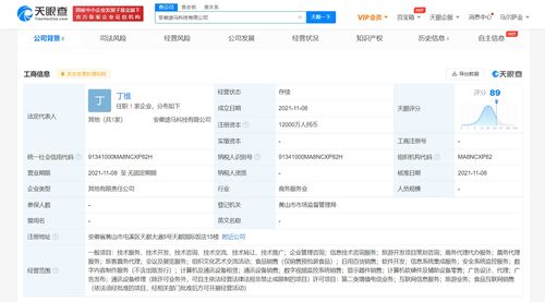 螞蟻集團攜手黃山旅游成立合資公司，1.2億資本共繪智慧旅游新藍圖